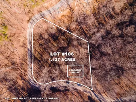 106 Bluff Ridge Rd, Sevierville, TN 37862