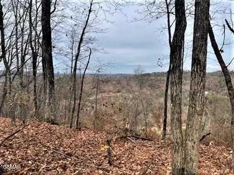 4 Pulaski Ln, Sevierville, TN 37862