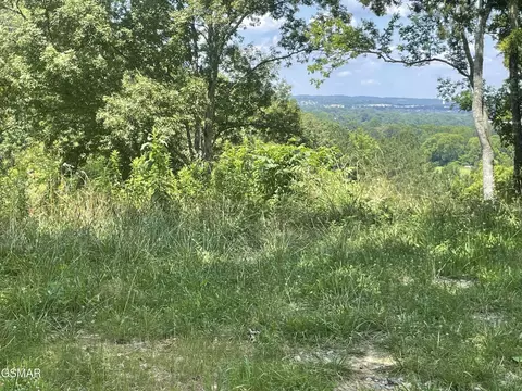 2 King Estates Rd, Sevierville, TN 37876