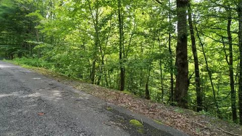 98 Black Powder Ln, Sevierville, TN 37862