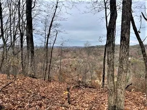 4 Pulaski Ln, Sevierville, TN 37862
