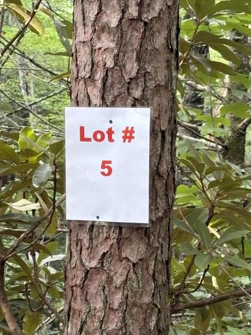 5 Old Furnace Rd, Tellico Plains, TN 37385