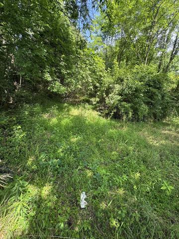 9108 Hwy 20, Summertown, TN 38483