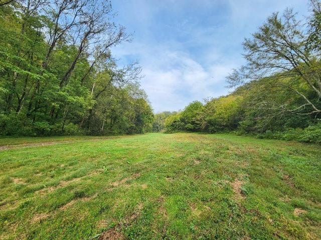 0 Webster Branch Ln, Whitleyville, TN 38588