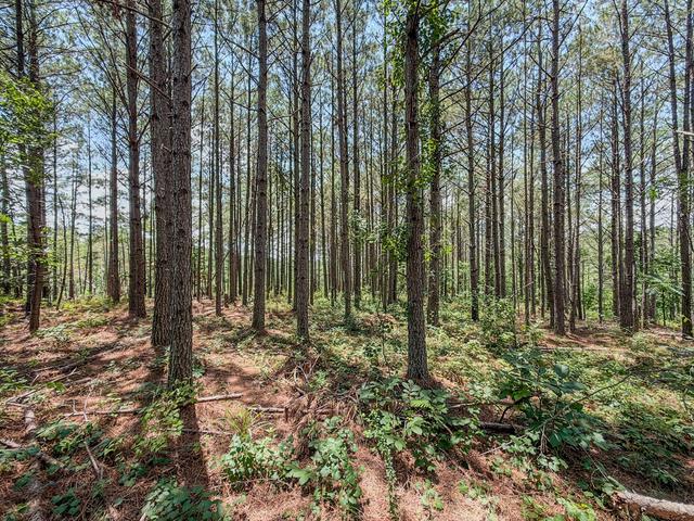 0 Big Opossum Creek Rd, Waynesboro, TN 38485