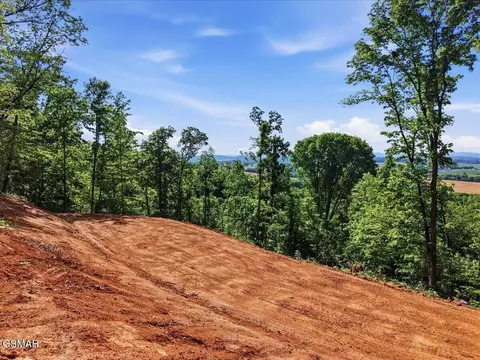 721 Cecil Lockhart Rd, New Market, TN 37820