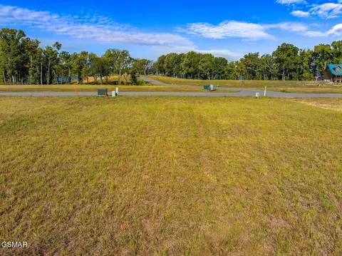 57 Sunset Blvd, White Pine, TN 37890 photo 4