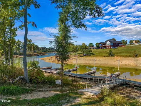 57 Sunset Blvd, White Pine, TN 37890 photo 17