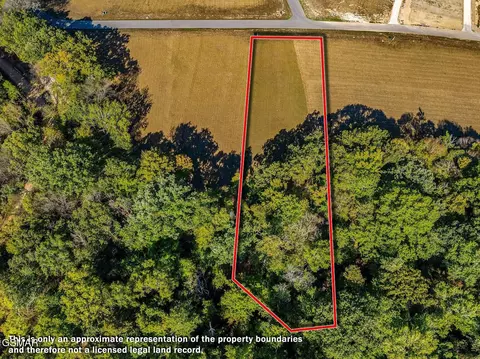 57 Sunset Blvd, White Pine, TN 37890 photo 2