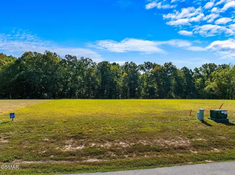 57 Sunset Blvd, White Pine, TN 37890 photo 3
