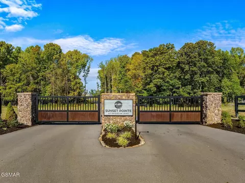 57 Sunset Blvd, White Pine, TN 37890 photo 12