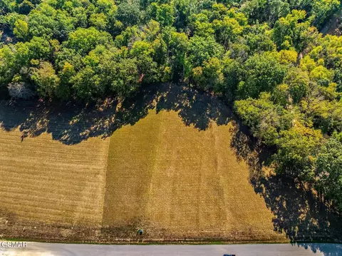 57 Sunset Blvd, White Pine, TN 37890 photo 7
