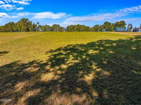 57 Sunset Blvd, White Pine, TN 37890 photo 6