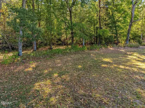 57 Sunset Blvd, White Pine, TN 37890 photo 5