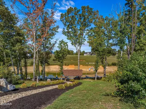 57 Sunset Blvd, White Pine, TN 37890 photo 14