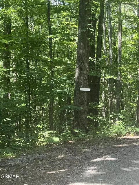 10 Windswept Cir, Newport, TN 37821