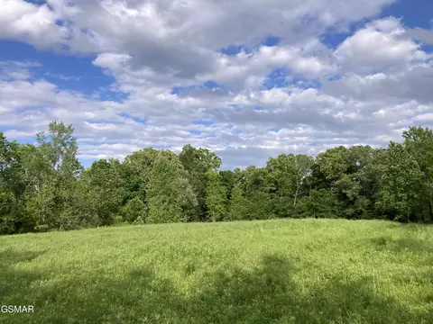 24265 S Mohawk Rd, Midway, TN 37809