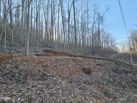 30 Grand Country, Cosby, TN 37722