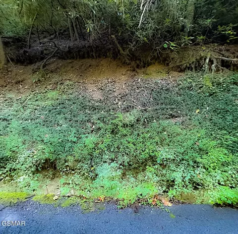 8 Shields View Dr, Gatlinburg, TN 37738