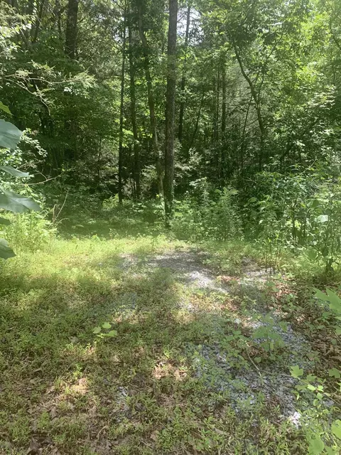 27 Powdermill Rd, Gatlinburg, TN 37738