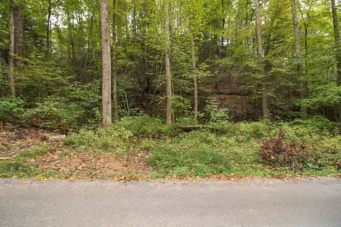 20 Ownby Cir, Gatlinburg, TN 37738
