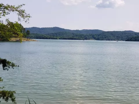 334 Catawba, Bean Station, TN 37708 photo 4