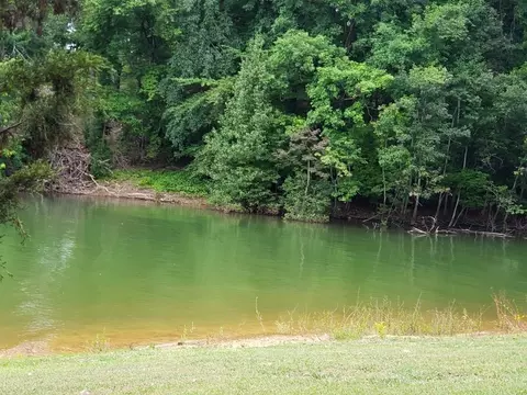 334 Catawba, Bean Station, TN 37708 photo 30