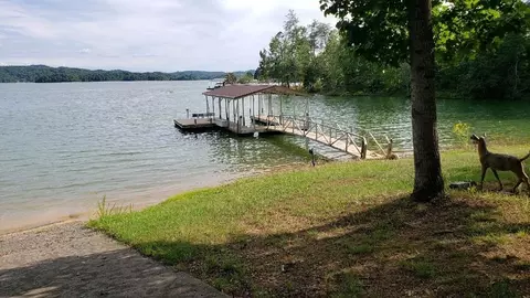 334 Catawba, Bean Station, TN 37708 photo 14