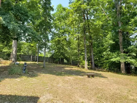 334 Catawba, Bean Station, TN 37708 photo 19