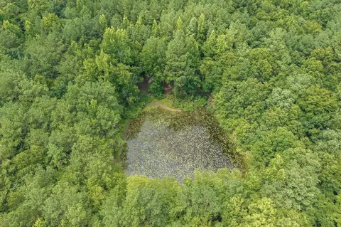0 Highway 22a, Lexington, TN 38351