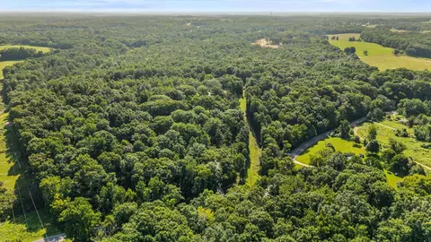 View/Area - 7362 Walker Rd, Fairview, TN 37062 photo 3 of 10