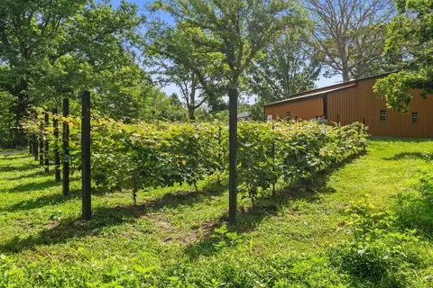 Exterior - 7362 Walker Rd, Fairview, TN 37062 photo 2 of 22