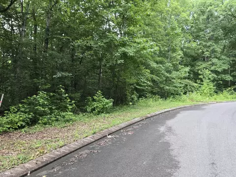 141 Lower Brow Rd, Dunlap, TN 37327