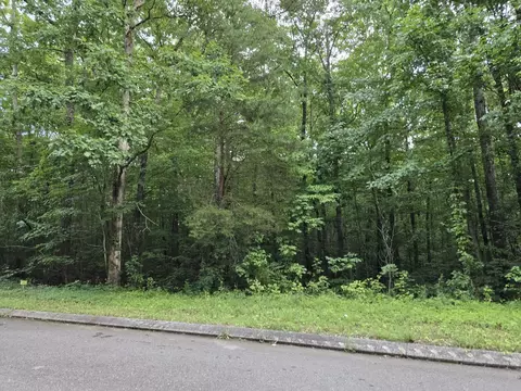 144 Lower Brow Rd, Dunlap, TN 37327