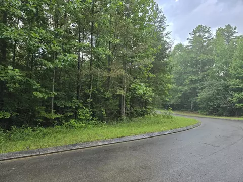 156 Lower Brow Rd, Dunlap, TN 37327