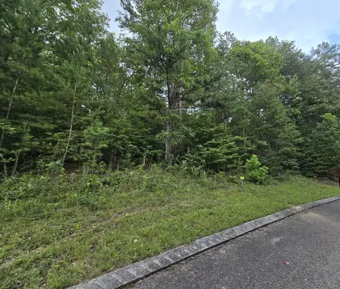 157 Lower Brow Rd, Dunlap, TN 37327