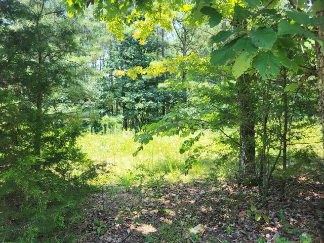 0 Beech Point Dr, Pikeville, TN 37367