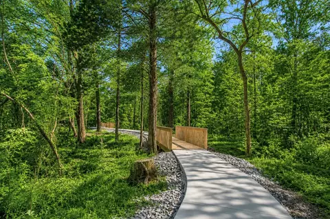 View/Area - 4231 Feetham Dr, Murfreesboro, TN 37129 photo 5 of 13