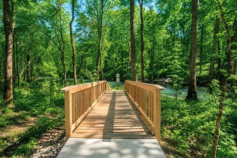 View/Area - 4231 Feetham Dr, Murfreesboro, TN 37129 photo 8 of 13