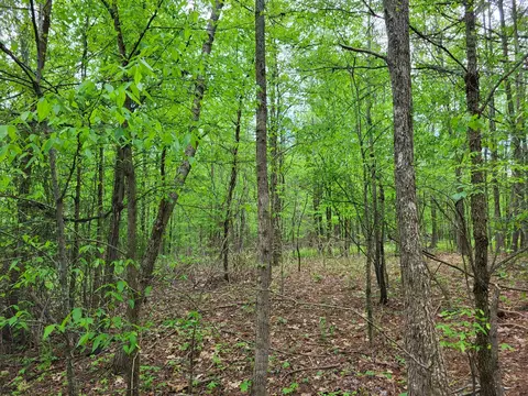 565 Valley Loop, Pikeville, TN 37367