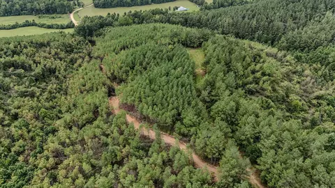 0 Big Opposum Creek Rd, Waynesboro, TN 38485