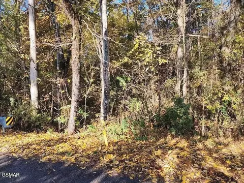 0 Briggs Rd, Dandridge, TN 37725