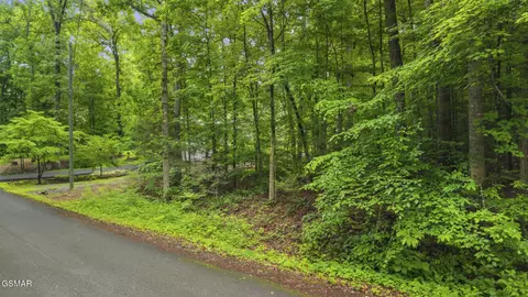 0 Peach Tree St, Sevierville, TN 37862