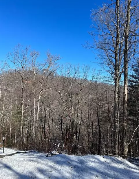 0 Rubicon Ridge Dr, Sevierville, TN 37862