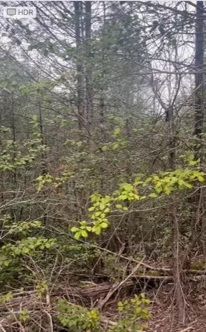 0 Bourne Way, Sevierville, TN 37876