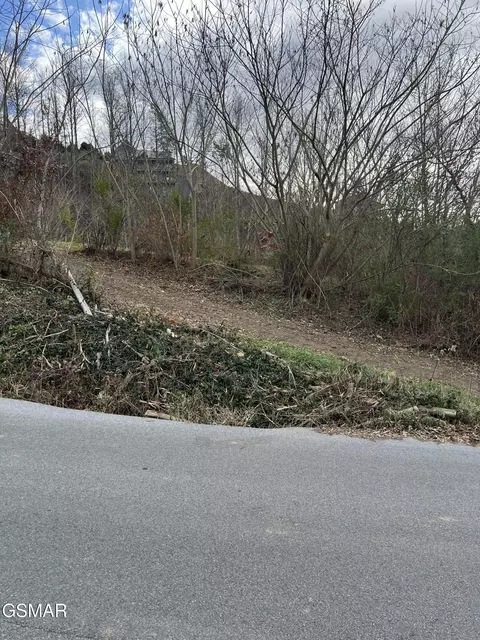 210 Rattlesnake Hollow Rd, Gatlinburg, TN 37738