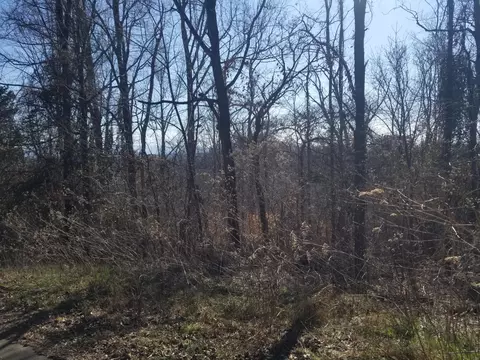 12 Walk In The Trees Dr, New Market, TN 37820