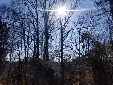 11 Walk In The Trees Dr, New Market, TN 37820