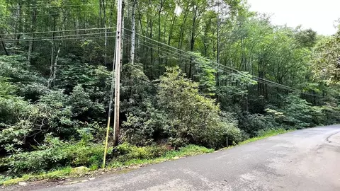 1213 Butler Branch Rd, Gatlinburg, TN 37738