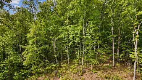 0 Joyner Hills Ln, Sevierville, TN 37876